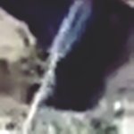 [19] <b>남자선생</b>이 생리얘기함;;;