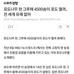 [드루와] 내 농장에서 약한 <b>포도</b>는 살아남을 수 없다