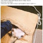 [드루와] 추워서 발 전용 <b>카펫</b>을 사왔는데