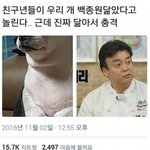 [드루와] 각자 본진 <b>태몽</b> 올리고 가!