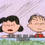[드루와] 얘들아 나 에버랜드 가지 말까 그냥