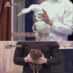 [모두드루와] 머글들 <b>능욕</b>하는 마법사 최현우