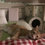 판순아 보고<b>시포</b>