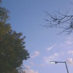 내가 찍은 사진들 보고 <b>가랑</b>