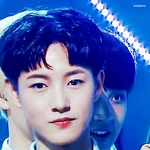 [NCT] 다들 인쥬니 최애 머리 모야