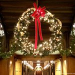 11월 한 달 동안 먹은 학교 급식 모음!