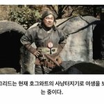 [드루와] 나 잘하는건 많은데 다 <b>애매</b>함