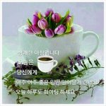 신체<b>부위</b> 자랑하고 가랬던 톡선글 어디있지