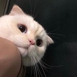 남자애들 <b>면도</b>하는 거 나만 모름?