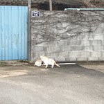 와 클렌징<b>워터</b>로 얼굴닦는데