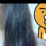 [19] 파마 망한거 맞지? 평가좀