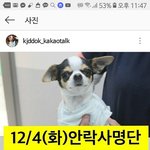 [드루와] 내일 안락사 <b>예정</b>인 강아지ㅠㅠㅠ