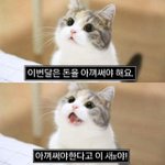 [댓글부탁해] 고삼인데 스킨쉽<b>진도</b> 좀 봐주랑 ㅜㅜㅜㅜㅜㅜ