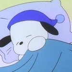 나 이정도 이유면 단발 할만하지