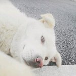 내일 시험이라 오늘 <b>지각</b>할거다