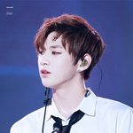 셔츠입은 강다니엘 <b>모음</b>