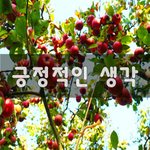 [꼭봐주세요] 긍정적인 생각~