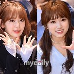 어겼다"…사쿠라X나코, HKT48 활동에 '아이즈원 팬덤 강력 <b>반발</b>'
