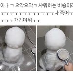 너희는 지금 역사에서 바꾸고 싶은 부분이 뭐야?