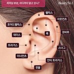 [댓글부탁해] 나 귀 이렇게 뚫고싶은데 <b>위치</b> 어떰
