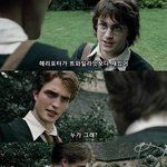 [댓글부탁해] 중3 기말고사 성적 봐줄 사람