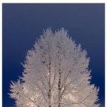 대통령이 방탄이랑 세븐틴 언급함