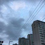 너네 제일 귀찮은게 <b>모야</b>....
