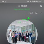 [강다니엘] mc딩/동님 인별 워너원