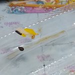 [드루와] 아 편의점 <b>도시락</b>에서 눈썹털나옴ㅡㅡ
