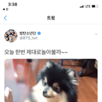 [방탄소년단] 아빠랑 만나서 신난 <b>연탄이</b>