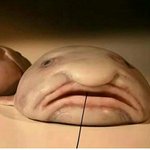 [댓글부탁해] <b>장용준</b> 글 올린것좀 봐 ㅋㅋㅋ