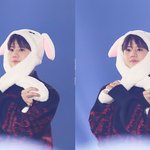 [하이라이트] <b>양요섭</b> 토끼짤모음