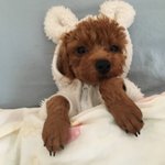 나보다 황당한 일 겪은 사람 있음??