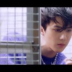 [EXO] 세훈이 파란 <b>장미</b> 들고있는거보니까 라잇세이버 생각남