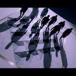 [EXO] 여기서 <b>갑분</b>싸 그림자 9개임