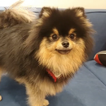 [방탄소년단] 방금끝난 태태&amp;<b>연탄</b>이 브2앱 요약해봄