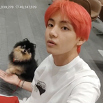 [방탄소년단] 짐니 그래서 혁_<b>기형</b>쿵쿵따씨 방으로 간건가