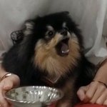 [방탄소년단] 정구기랑 탄이랑 싸우면 <b>누가</b>이길거같아?