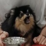 [방탄소년단] 오늘도 <b>화목</b>한 방탄이네 가족