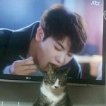 버스나 지하철에서 전화 좀 하지말지
