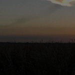 영화소개 클로버 필드 10번지~~~