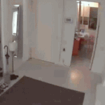 모닝케이크로 <b>당</b><b>충전</b>하는 신세경