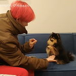 [EXO] 똑또기 <b>타니</b>