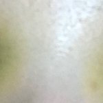 [조언부탁해] 쌍수 짝짝<b>인지</b> 봐주라