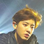 [충격] 엑소찬열 눈크기 실감짤ㄷ