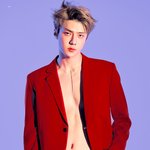 [EXO] <b>윌리스</b> 버전 오졌다
