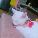 [댓글부탁해] 화장진하게 하면서 <b>탈코</b>글 좋아요 누르는애어떰