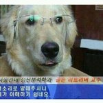 [드루와] 너네는 이 <b>문장</b>이 불편하니?