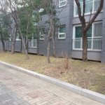 <b>첫눈</b>이다