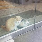 [댓글부탁해] 아진짜 나 <b>대인</b>기피증이냐